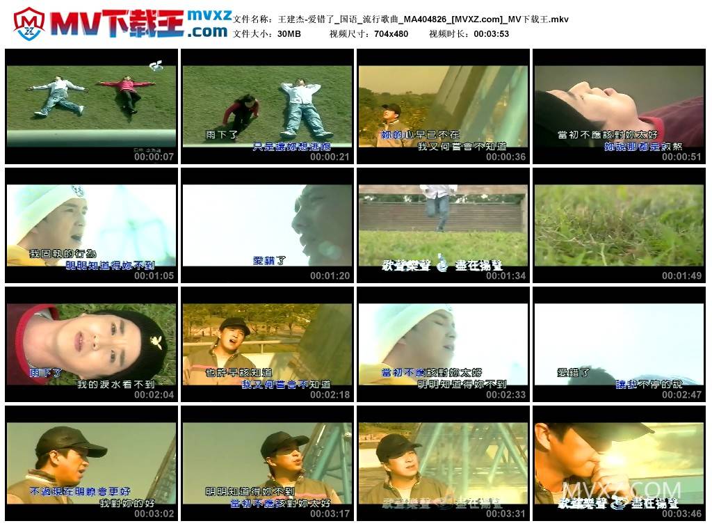 王建杰-爱错了_国语_流行歌曲_MA404826